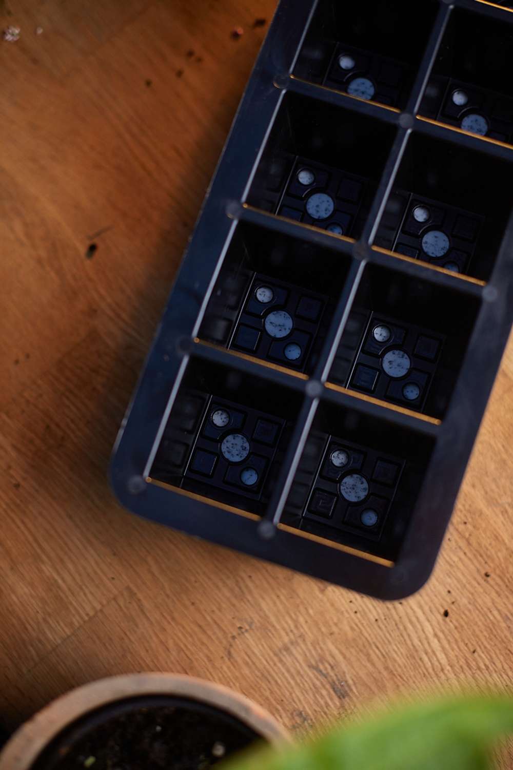 Miniväxthus med vattenreservoar